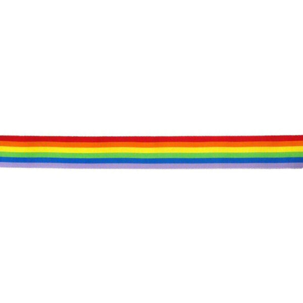 Pride - Banda Bandera Lgbt