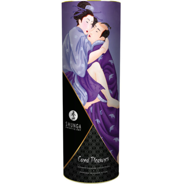 Shunga - Kit Colección Placeres Carnales - Imagen 2