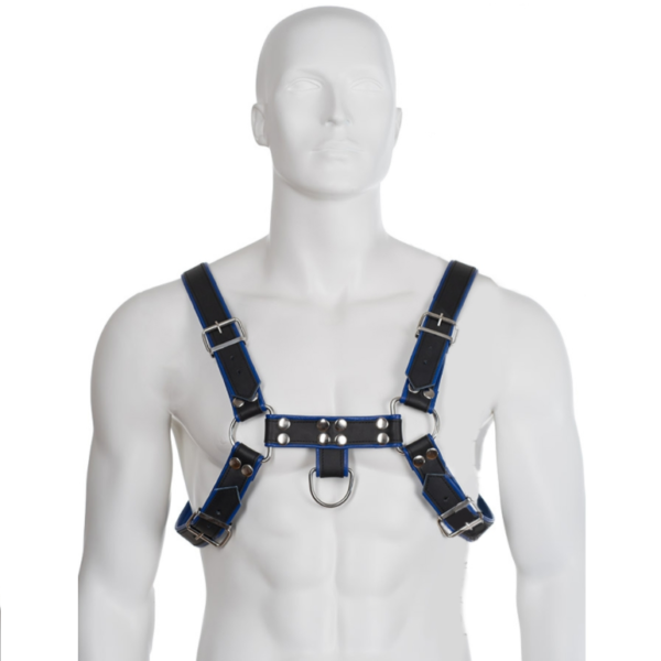 Leather Body - Arnes Cuero Azul Y Negro Chest Bulldog