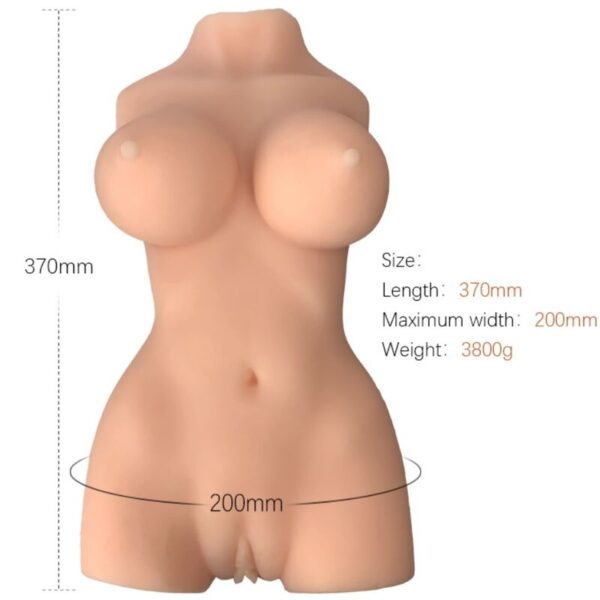 Armony - Torso Femenino Realistico Modelo 7