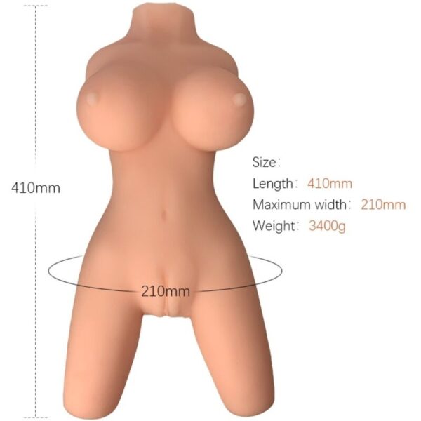 Armony - Torso Femenino Realistico Modelo 8